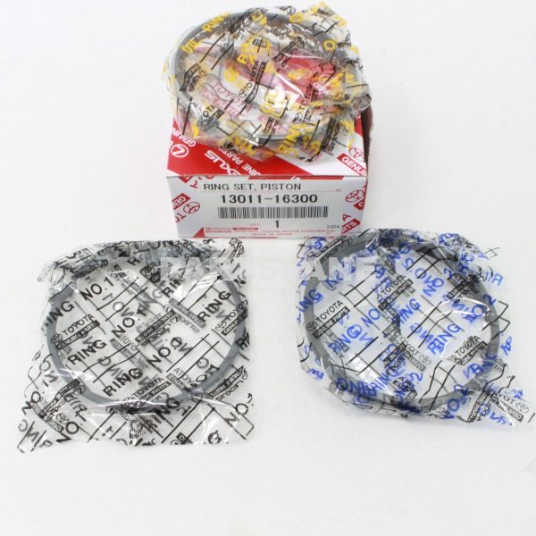 JG SEGMENTOS STD P/4AFE